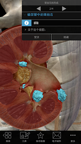 Physiology & Pathology mod Screenshot 4