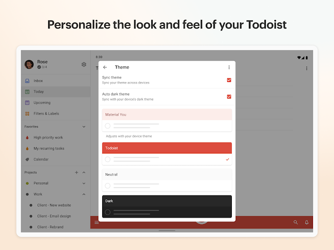 Todoist: to-do list & planner Screenshot 11