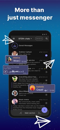 SFERA project. Social network Screenshot 2