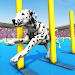 Pet Dog Simulator Dog Games 3D APK