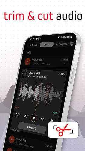 Voice Recorder Pro - VoiceX Screenshot 2
