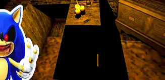 Hedgehog EXE - Horror Evil 3D Screenshot 6
