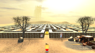 3D Maze 2 Screenshot 3