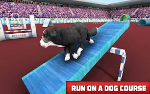 Pet Dog Simulator Dog Games 3D Screenshot 2