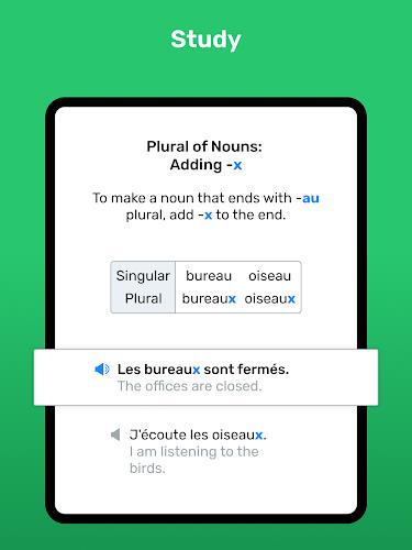 Wlingua - Learn French Screenshot 9