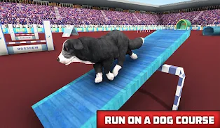 Pet Dog Simulator Dog Games 3D Screenshot 5