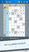 Daily Crossword Arrow Solo Screenshot 2