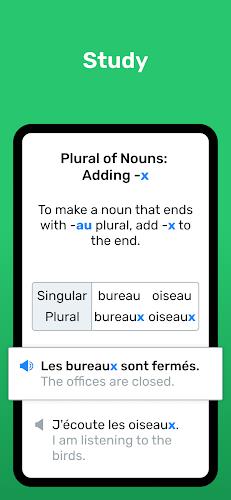 Wlingua - Learn French Screenshot 2