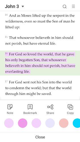 King James Bible - Verse+Audio Screenshot 8