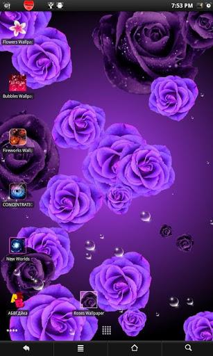 Roses live wallpaper Screenshot 5