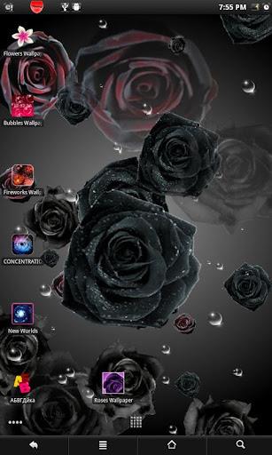 Roses live wallpaper Screenshot 2