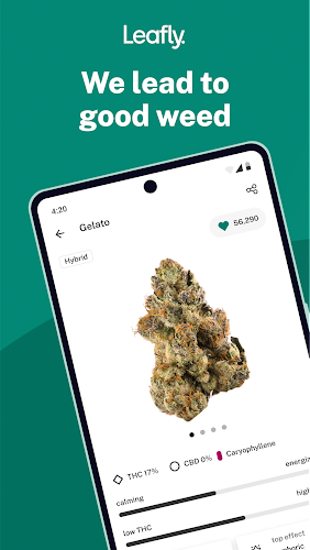 Leafly: Find Cannabis and CBD Screenshot 1