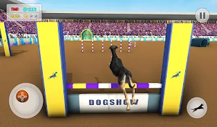 Pet Dog Simulator Dog Games 3D Screenshot 11