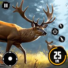 Animal Hunting Games 3D Topic