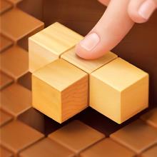 Wood Block - Puzzle Games Topic