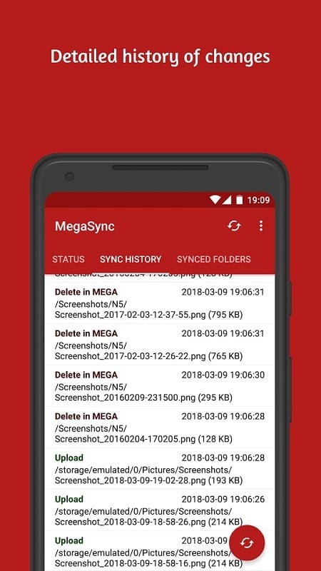 MegaSync Screenshot 1