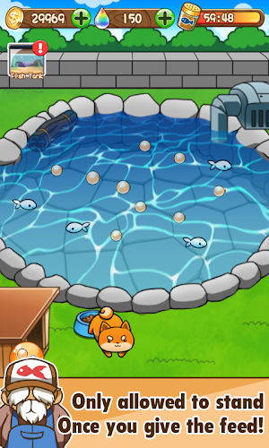 Goldfish Collection Screenshot 9
