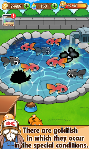 Goldfish Collection Screenshot 6