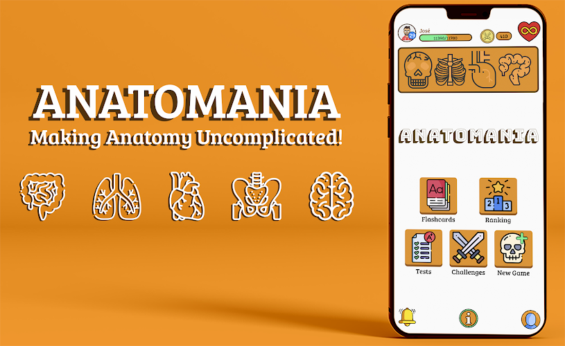Anatomania - Quiz de Anatomia Screenshot 3