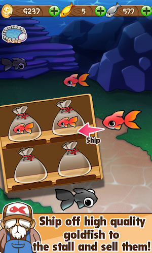Goldfish Collection Screenshot 5