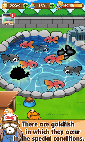 Goldfish Collection Screenshot 13