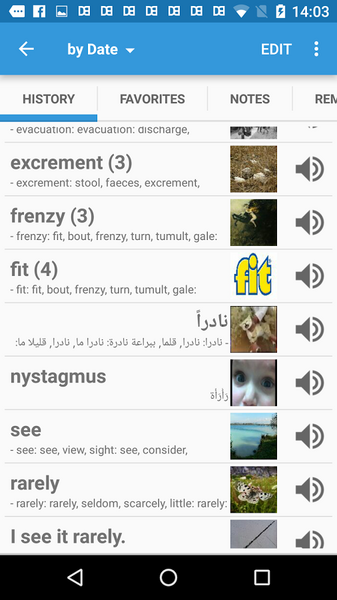 Dict Box Arabic Screenshot 5