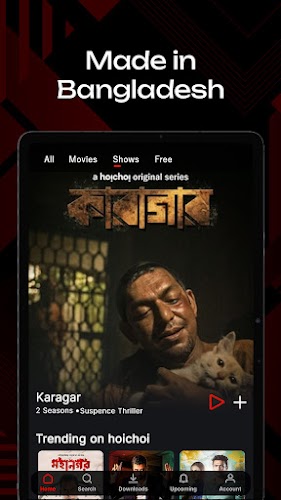 hoichoi - Movies & Web Series Screenshot 10