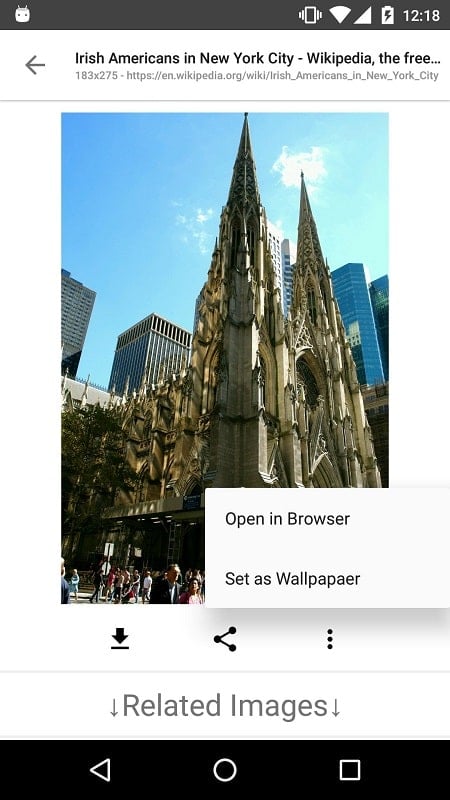 Image Search – ImageSearchMan Screenshot 2