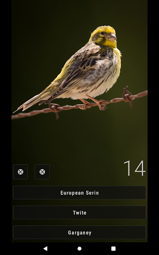 Little Bird Quiz: Aves Europe Screenshot 10