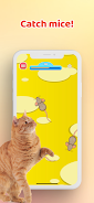 Games for Cat－Toy Mouse & Fish Screenshot 1