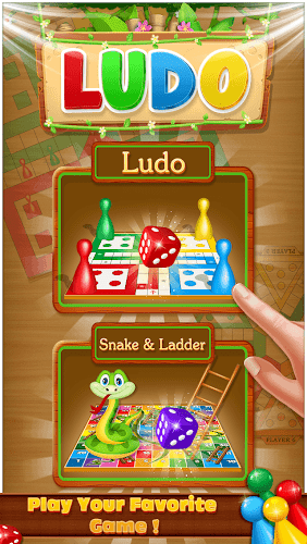 Ludo Play The Dice Game Screenshot 5