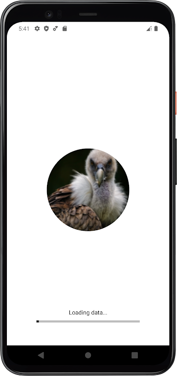 Vulture Sounds Screenshot 1
