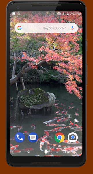 Japanese Koi Pond 4K Video LWP Screenshot 5