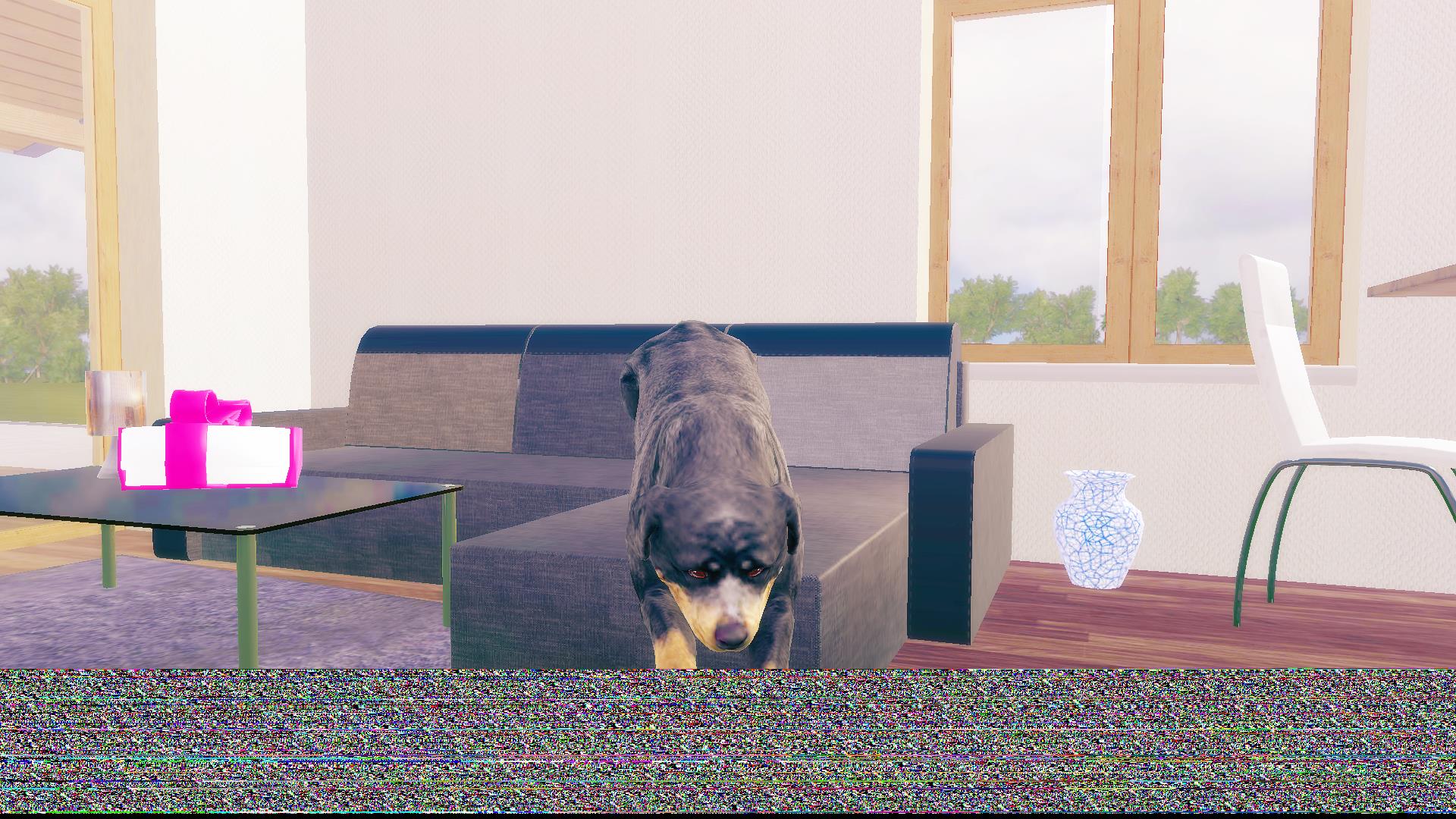 Rottweiler Dog Simulator Screenshot 8