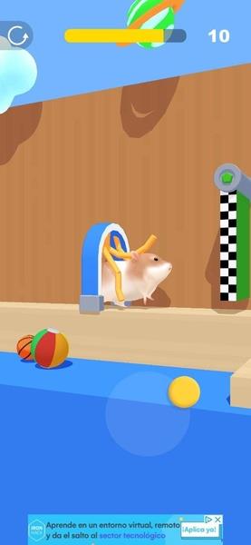 Hamster Maze Screenshot 6