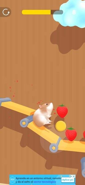 Hamster Maze Screenshot 11