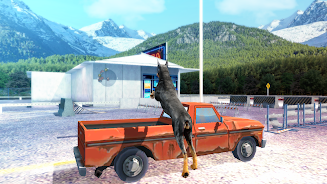 Doberman Dog Simulator Screenshot 12