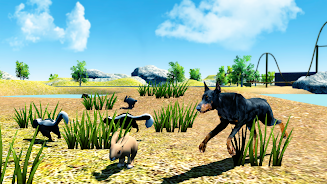 Doberman Dog Simulator Screenshot 5