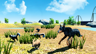 Doberman Dog Simulator Screenshot 7