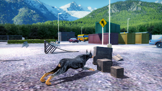 Doberman Dog Simulator Screenshot 23