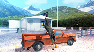 Doberman Dog Simulator Screenshot 16