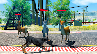 Doberman Dog Simulator Screenshot 18