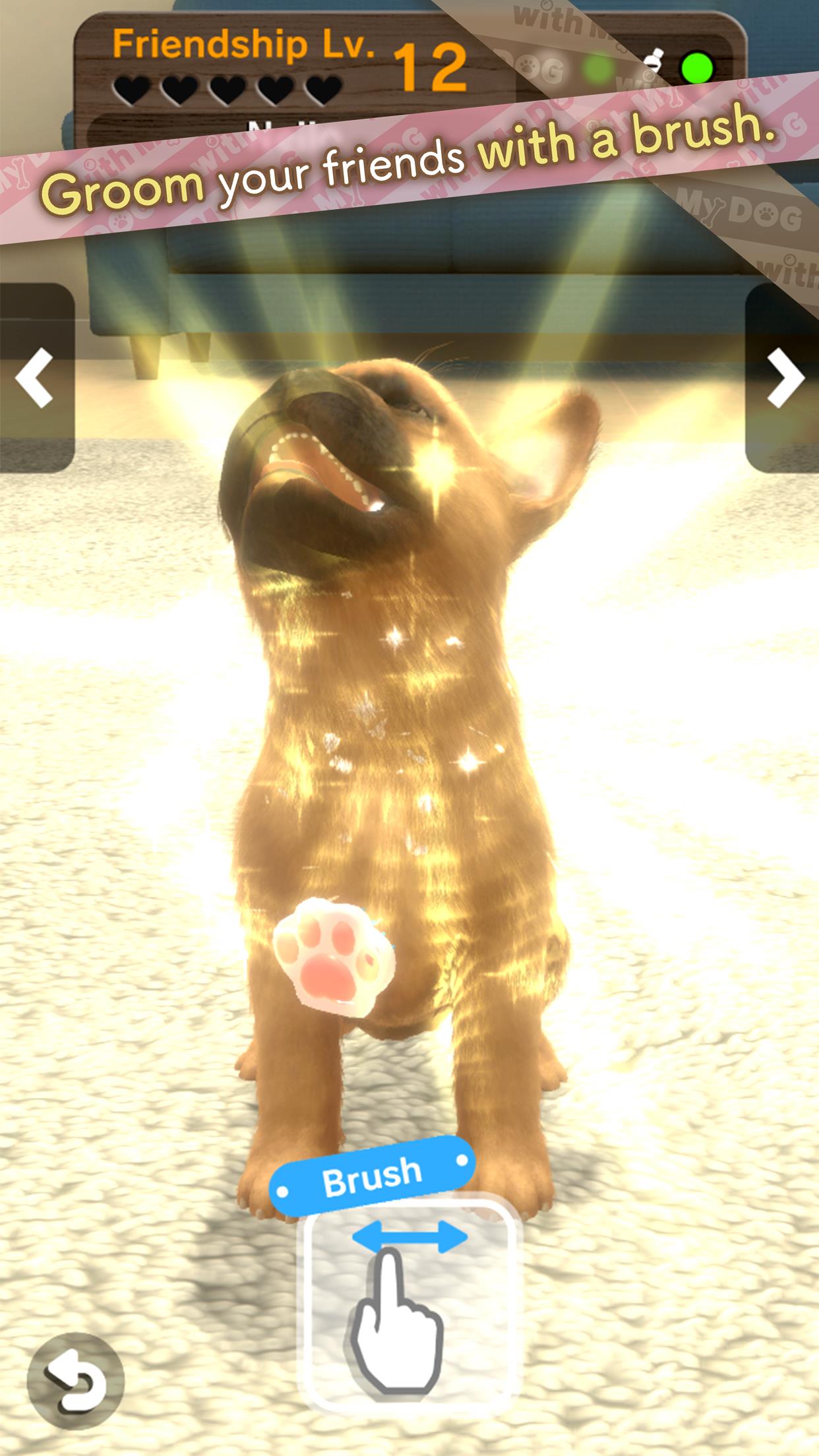 with My DOG Screenshot 3