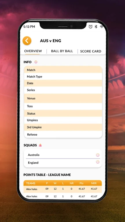 Cricket Keeda Screenshot 3
