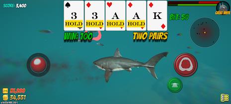 Shark Skill Poker Screenshot 3