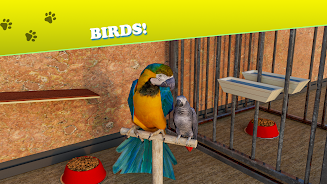 Animal Shelter: Pet World Game Screenshot 14