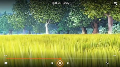 VLC for Android Screenshot 27