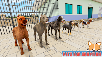 Animal Shelter: Pet World Game Screenshot 9