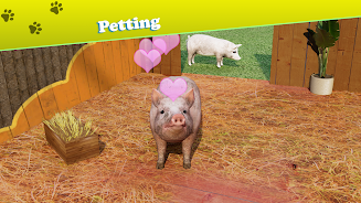 Animal Shelter: Pet World Game Screenshot 13