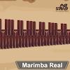 Marimba, Xylophone, Vibraphone APK